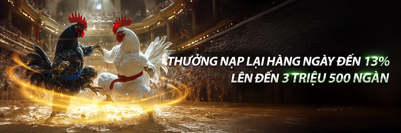 Hình ảnh banner đặc quyền VIP sbotop win