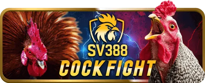 Sòng bạc trực tiếp với người chia bài thật tại Sbotop Win